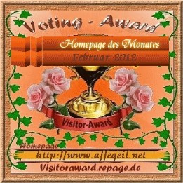 Auszeichnung Homepage des Monats von Visior-Award